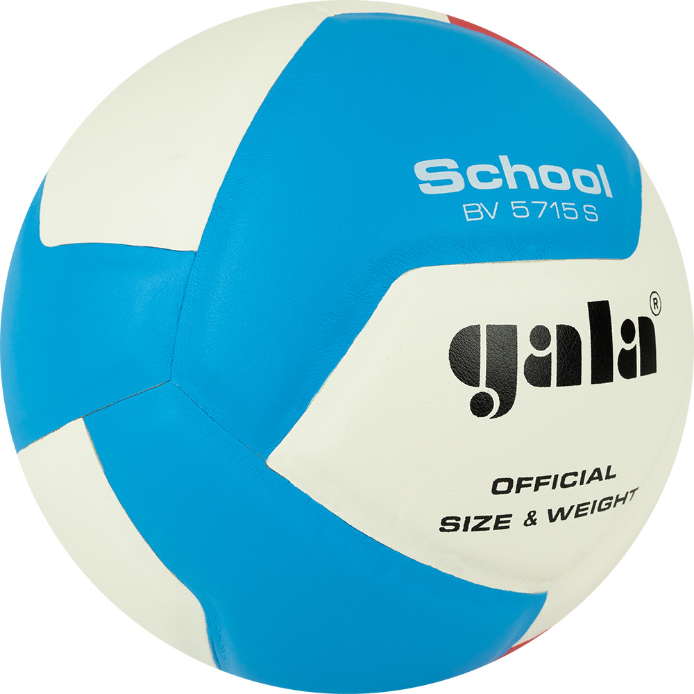 Мяч волейбольный GALA School 12, размер 5