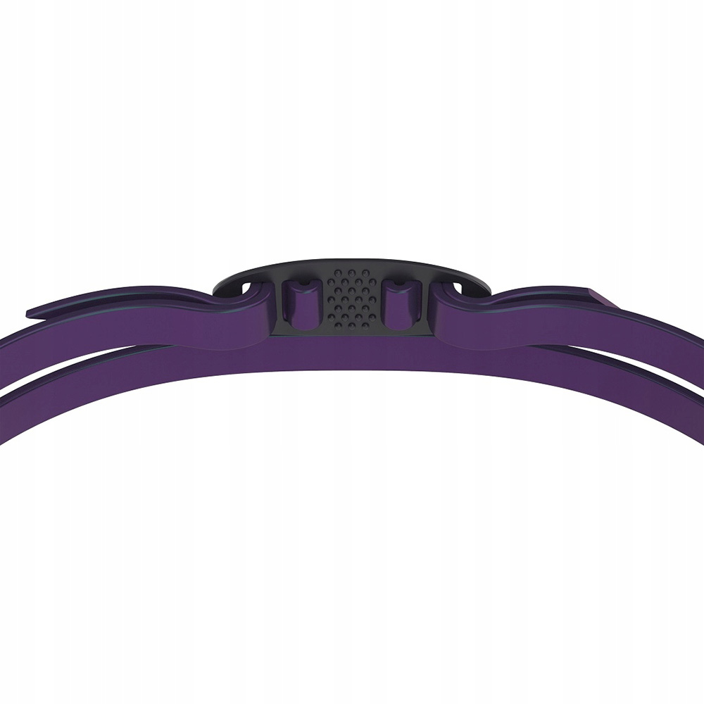 Очки для плавания SPEEDO Vanquisher 3.0 Mirrored, Цвет очков/линз Фиолетовый/Зеркальный