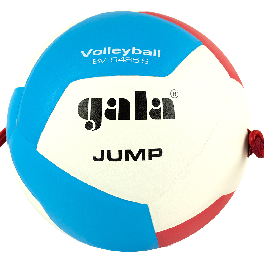 Мяч волейбольный GALA Jump 12, на растяжках, размер 5