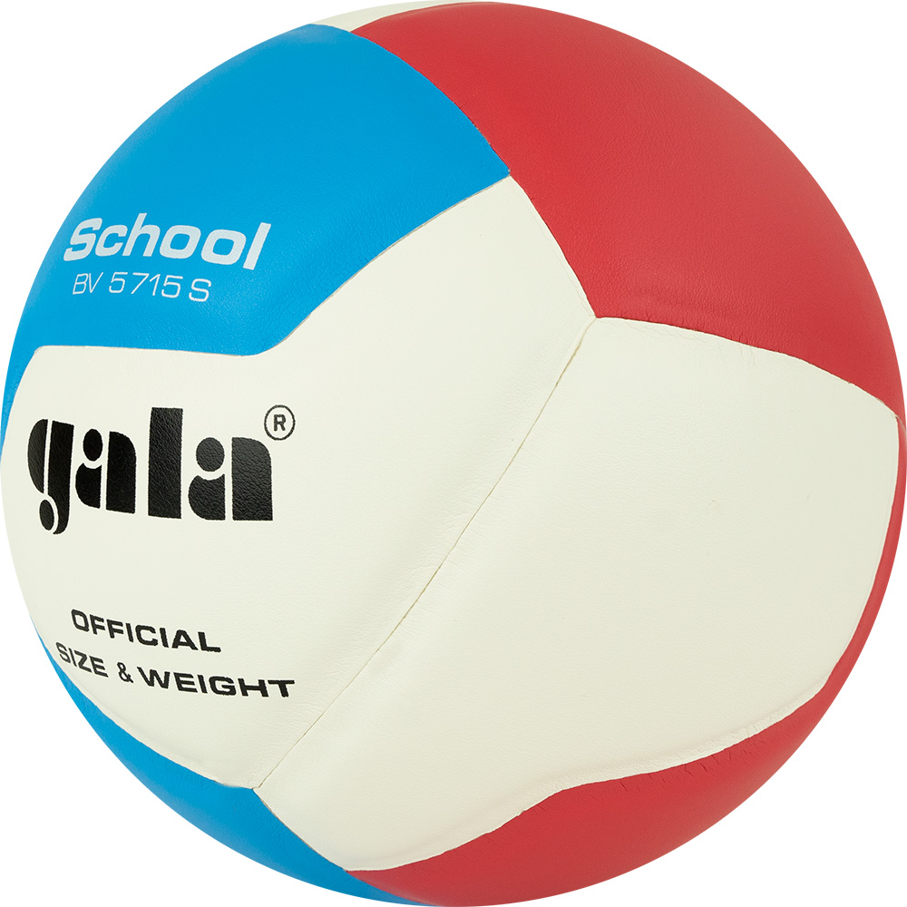 Мяч волейбольный GALA School 12, размер 5