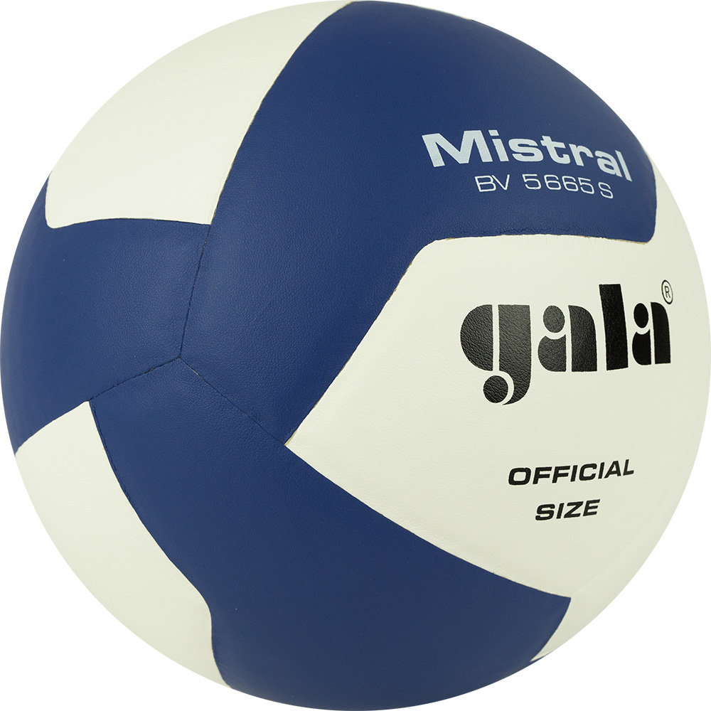 Мяч волейбольный GALA Mistral 12, размер 5