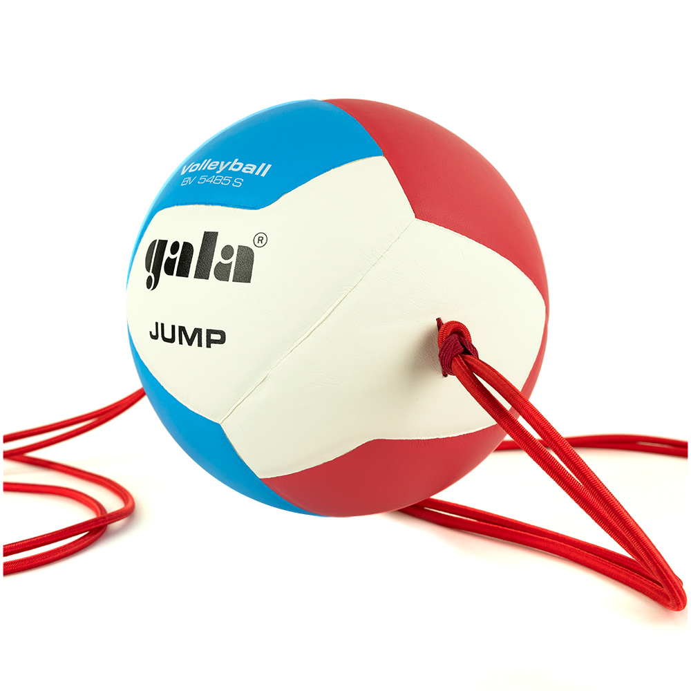 Мяч волейбольный GALA Jump 12, на растяжках, размер 5