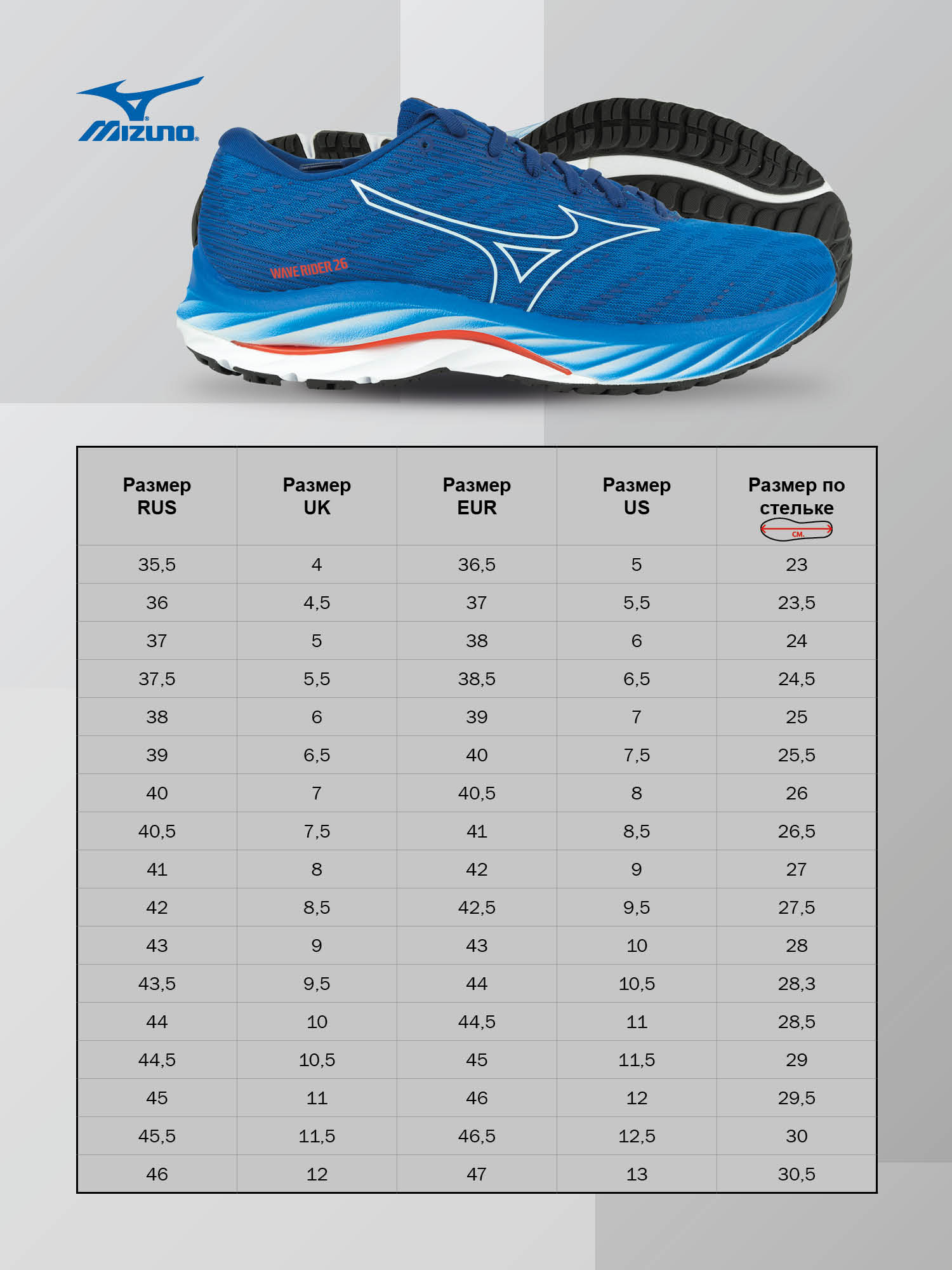 Кроссовки беговые MIZUNO Wave Rider 26, мужские, Размер 44